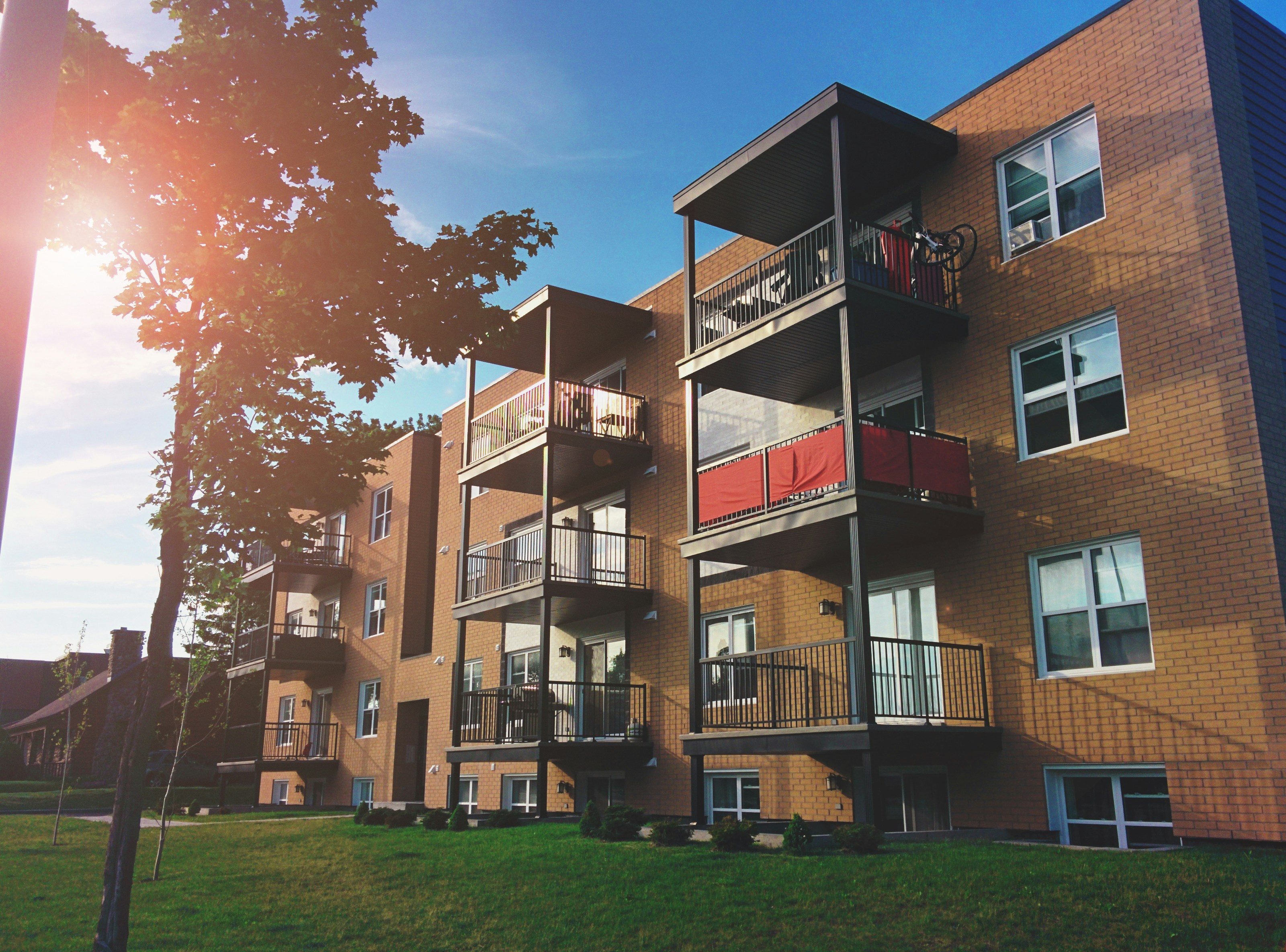 You’ve found a neighborhood you love.